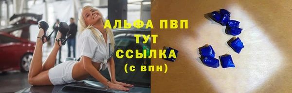 сатива Верея